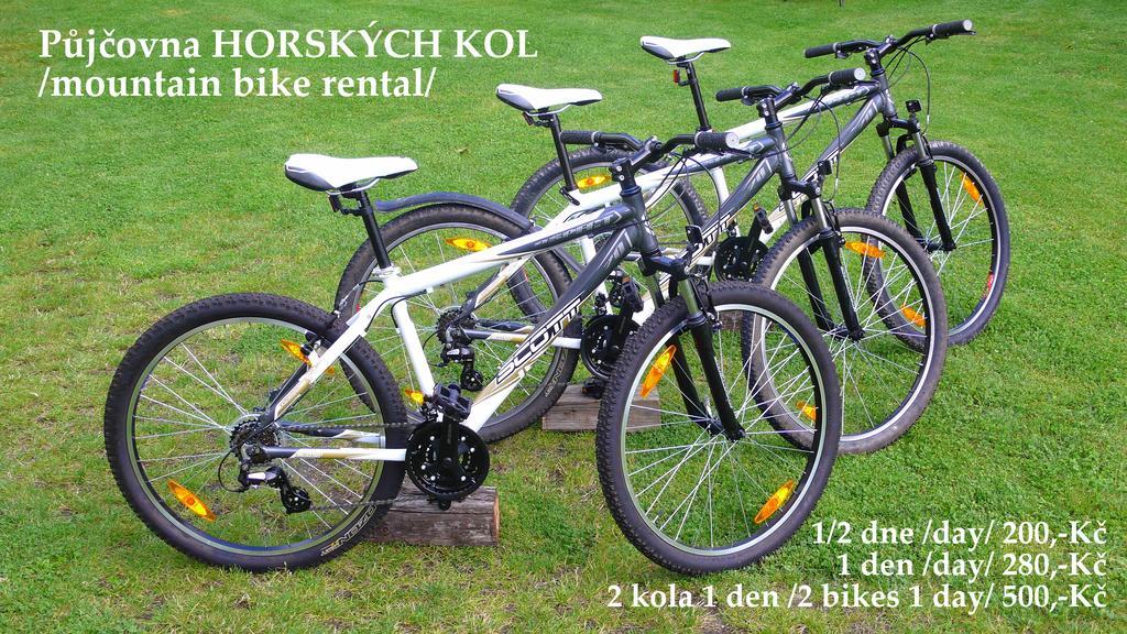 Penzion Fousek Zvikovske Podhradi Exterior foto
